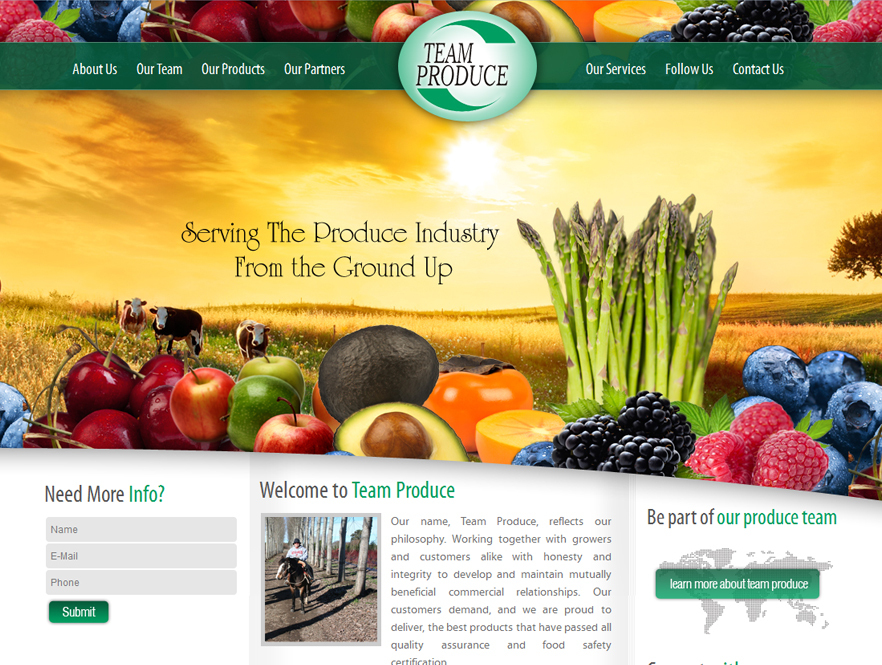 Team Produce Web Design - Website Design for Team Produce